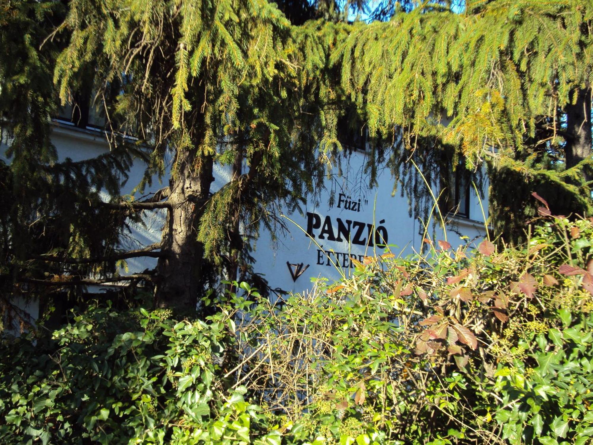 Bed and Breakfast Fuezi Panzio Sopron Zewnętrze zdjęcie